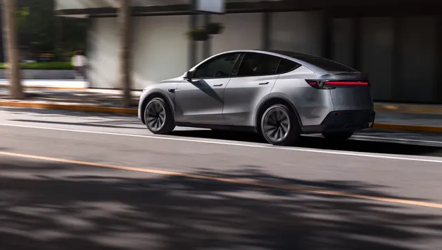 Tesla Model Y gris visto desde atrás en una avenida arbolada